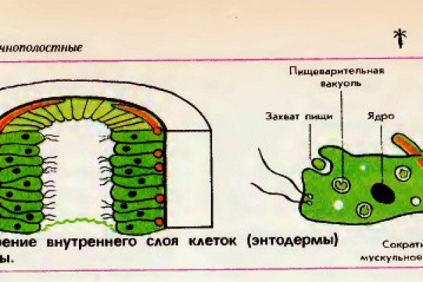 Как попасть на кракен