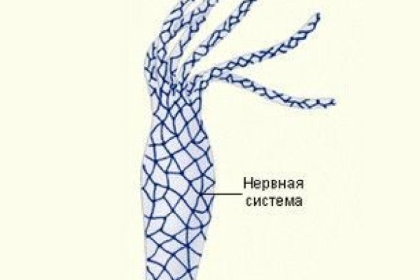 Что продает кракен